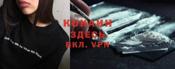 молекула духа Алексин
