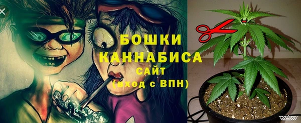 круглые Абаза