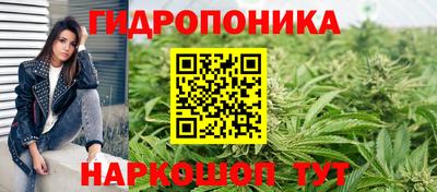 дмт Тверь