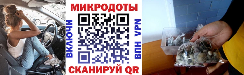 Псилоцибиновые грибы прущие грибы  Старая Купавна 