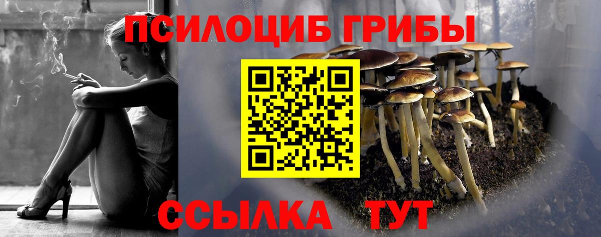 Галлюциногенные грибы мухоморы Старая Купавна